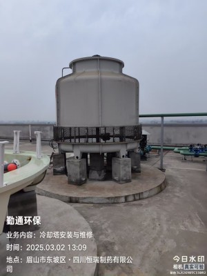 成都眉山冷却塔125t安装现场